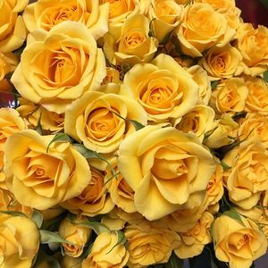 Image post by @bonita_flowers on Instagram