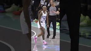 Video post by @minnesotalynx on YouTube