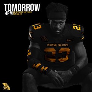 Image post by @mwsugriffons on Instagram