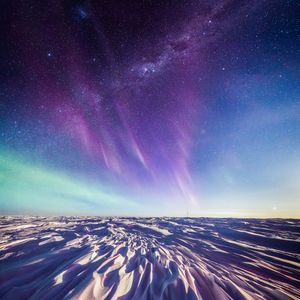 Image post by @discovery on Instagram