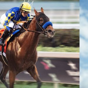 Image post by @pegasusworldcup on Instagram