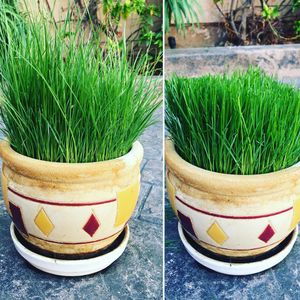 Image post by @jamesdkoh on Instagram