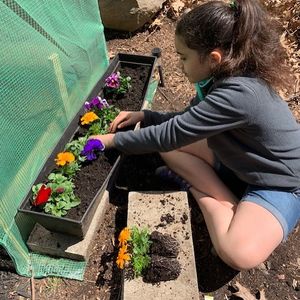 Image post by @kidsgardening on Instagram