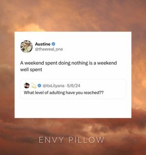 Image post by @envypillow on Instagram