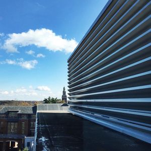 Image post by @denisonu on Instagram