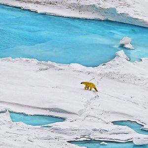 Image post by @leonardodicaprio on Instagram