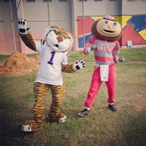 Image post by @lsumiketiger on Instagram