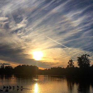 Image post by @tourismabbotsford on Instagram