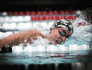 Image post by @arenausa on Instagram