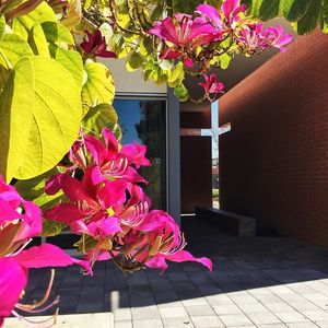 Image post by @gcu on Instagram