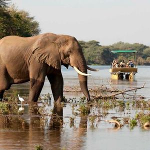 Image post by @chiawasafaris on Instagram