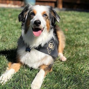 Image post by @cuboulder on Instagram