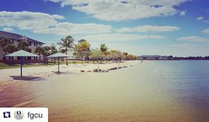 Image post by @fgcu_xc on Instagram