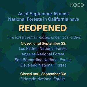 Image post by @kqed on Instagram