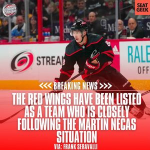 Image post by @redwingscoverage on Instagram