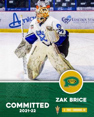 Image post by @bchlkings on Instagram