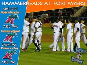 Image post by @gohammerheads on Instagram