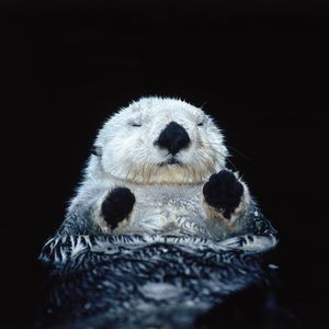 Image post by @discovery on Instagram