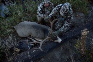 Image post by @meateater on Instagram