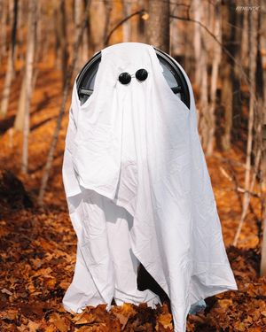 Image post by @fitmentindustries on Instagram