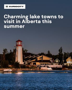 Image post by @curiocitycalgary on Instagram