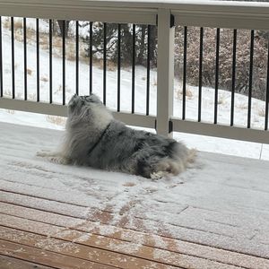 Image post by @bluefuji on Instagram