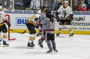Image post by @rockfordicehogs on Instagram