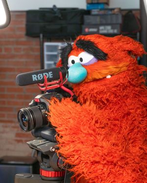 Image post by @watchmeatball on Instagram