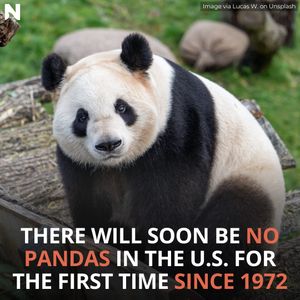 Image post by @nextshark on Instagram