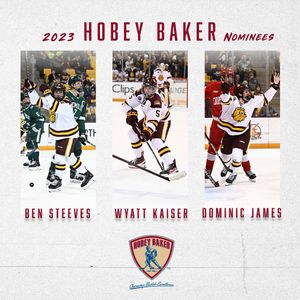 Image post by @UMDMensHockey on Twitter