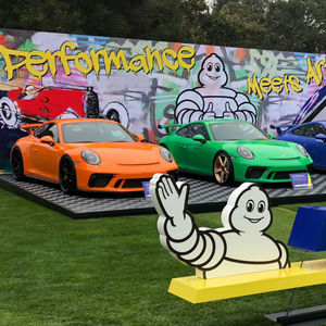 Image post by @michelinusa on Instagram
