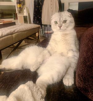 Image post by @ellendegeneres on Instagram