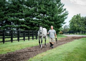 Image post by @spendthriftfarm on Instagram