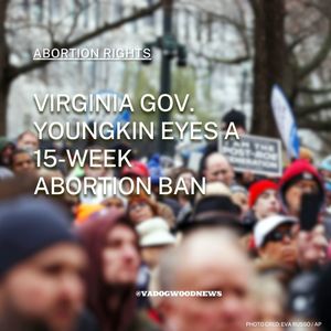 Image post by @vadogwoodnews on Instagram