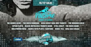 Image post by @iabilet on Instagram