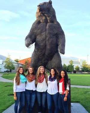 Image post by @brownu_softball on Instagram