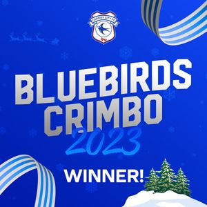 Image post by @cardiffcityfc on Instagram