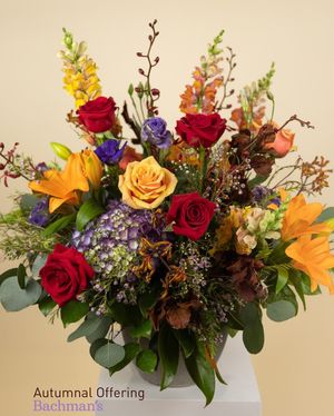 Image post by @shopbachmans on Instagram