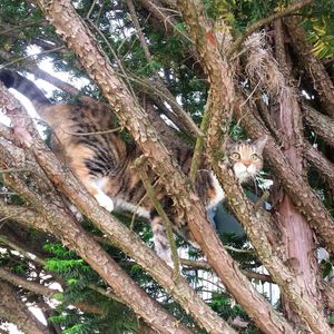 Image post by @animalplanet on Instagram
