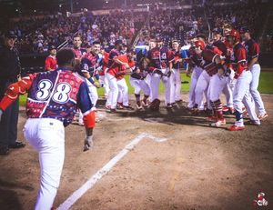 Image post by @springfield_cardinals on Instagram