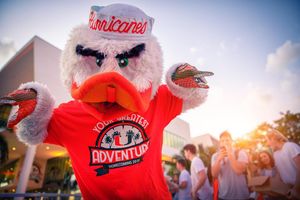 Image post by @univmiami on Instagram