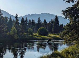 Image post by @nationalparkservice on Instagram