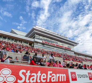 Image post by @isuredbirds on Instagram