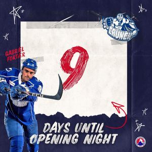 Image post by @theahl on Instagram