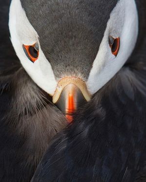 Image post by @discovery on Instagram
