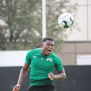 Image post by @tampabayrowdies on Instagram