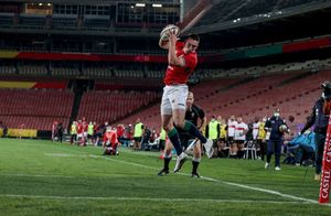 Image post by @britishandirishlions on Instagram