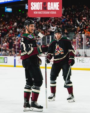 Image post by @arizonacoyotes on Instagram