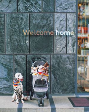 Image post by @ihghotels on Instagram