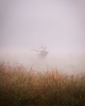 Image post by @nationalparkscollective on Instagram